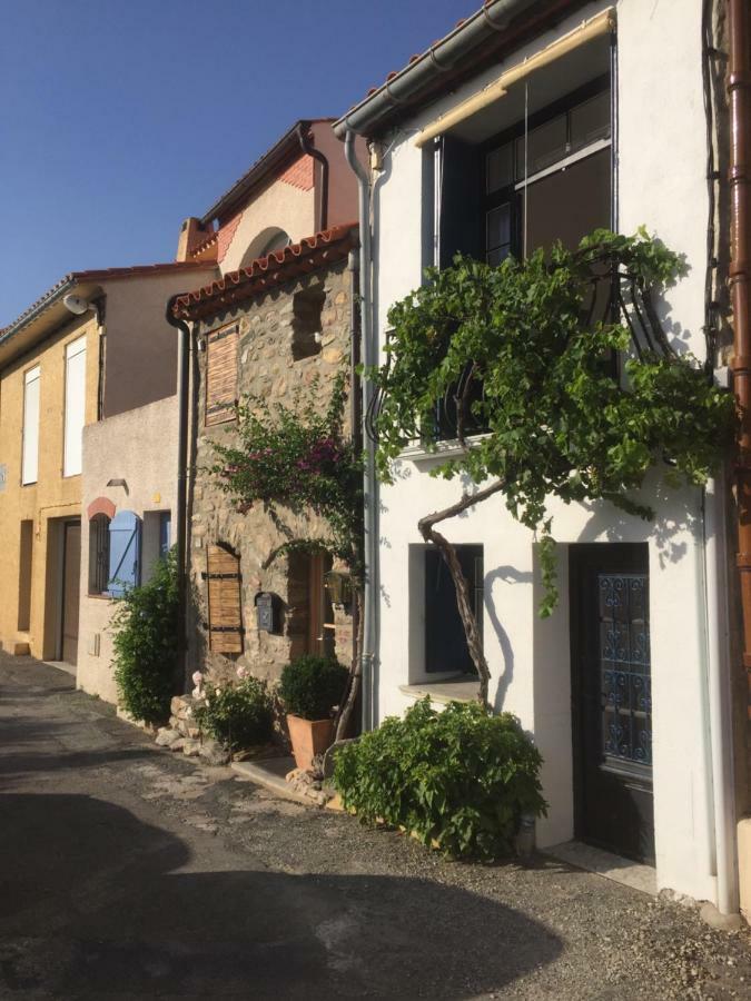 La Maison Blanche Aux Volets Blues Laroque-des-Albères Exteriér fotografie